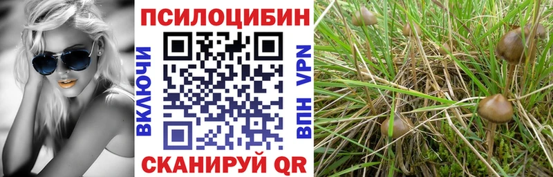 Псилоцибиновые грибы Psilocybe  Киров 