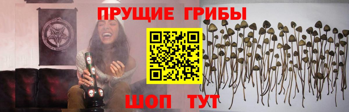 Киров  Галлюциногенные грибы мицелий  Вход с VPN 