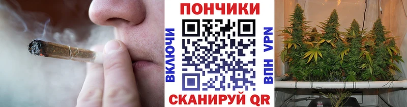 гидра ссылка  Киров  Бошки марихуана сатива 